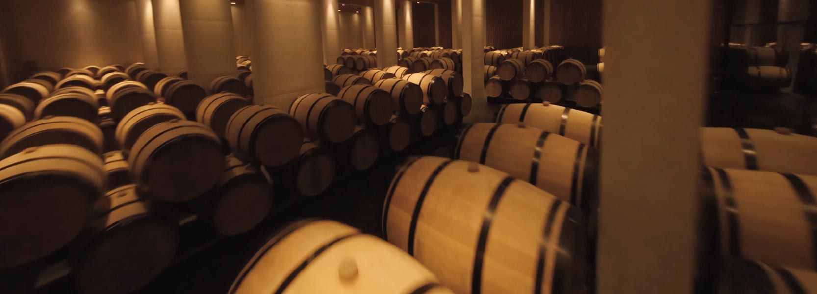 Wine cellars