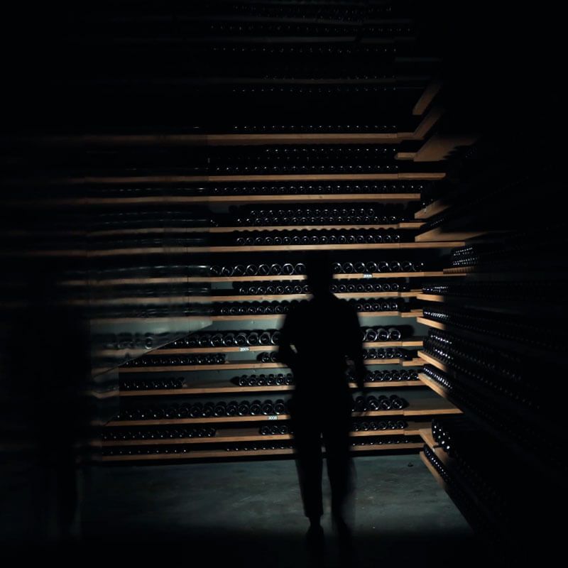 Wine cellar